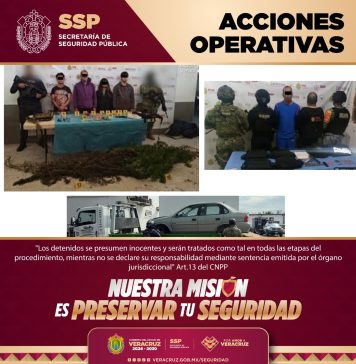 Detenidos 11 presuntos integrantes de células delictivas durante operativos coordinados